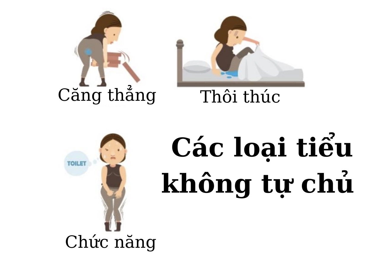 tieu-khong-tu-chu-thuong-duoc-chia-lam-4-loai-chinh.webp